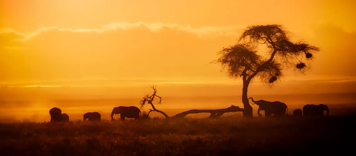 12 Days — The Great East African Loop: Kenya & Tanzania — Budget