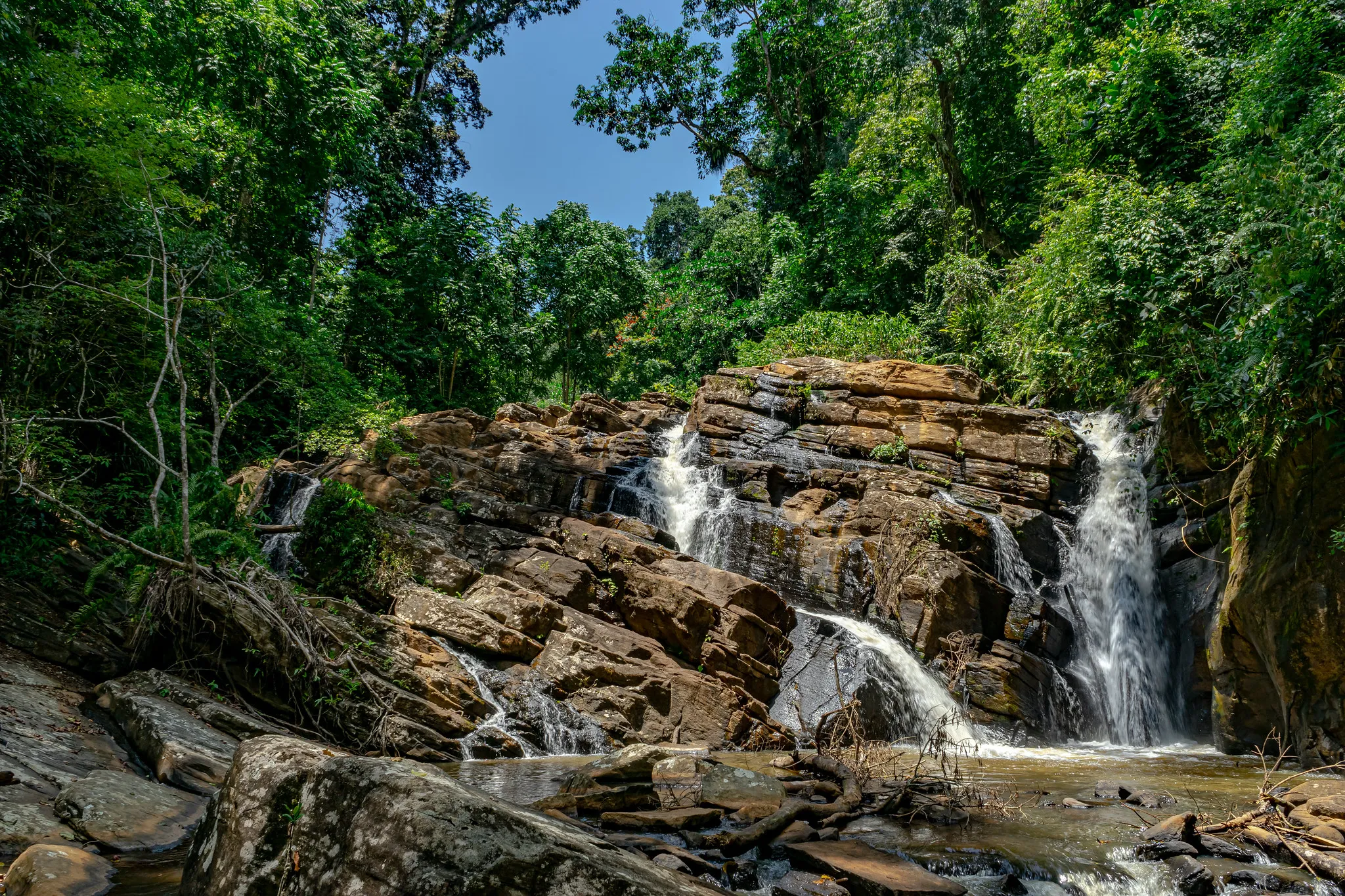 Amani Nature Reserve in the Usambara Mountains