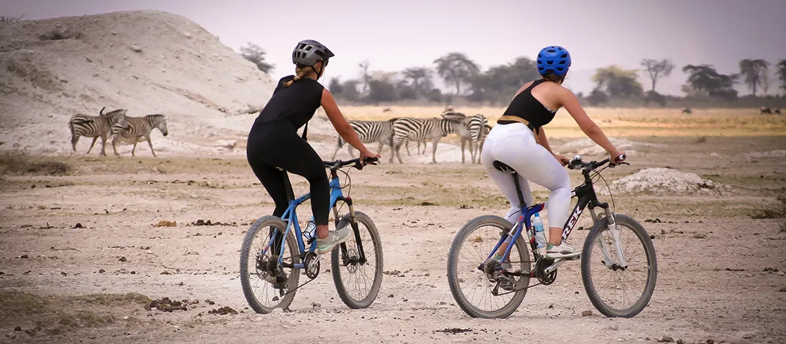 Bicycle safari