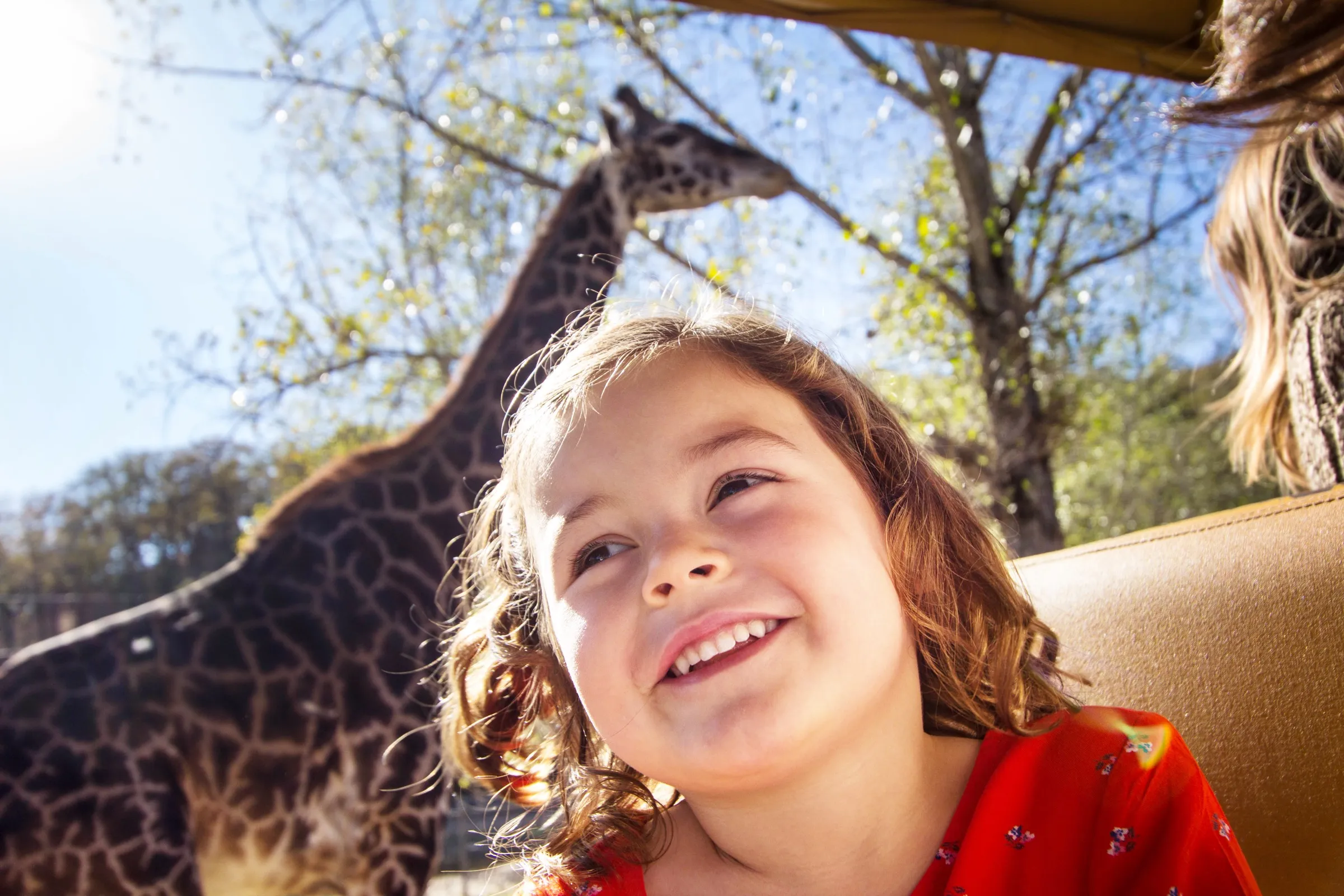 Safari image 3