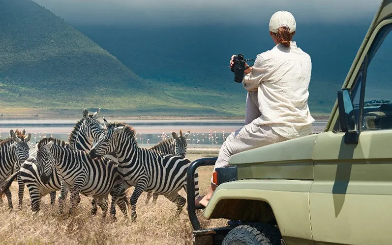 Safari image 3