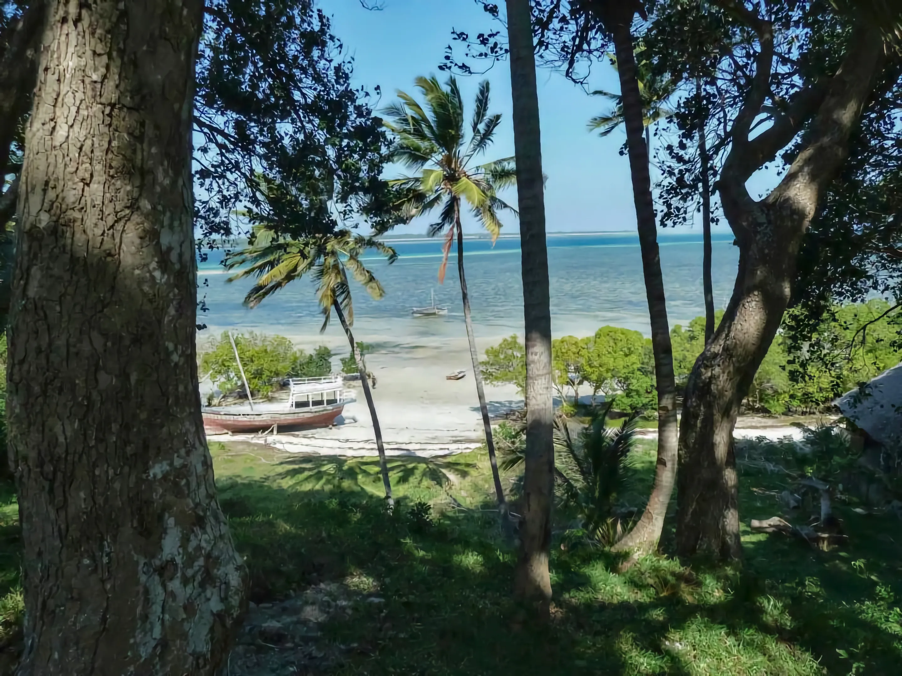 Safari image 3