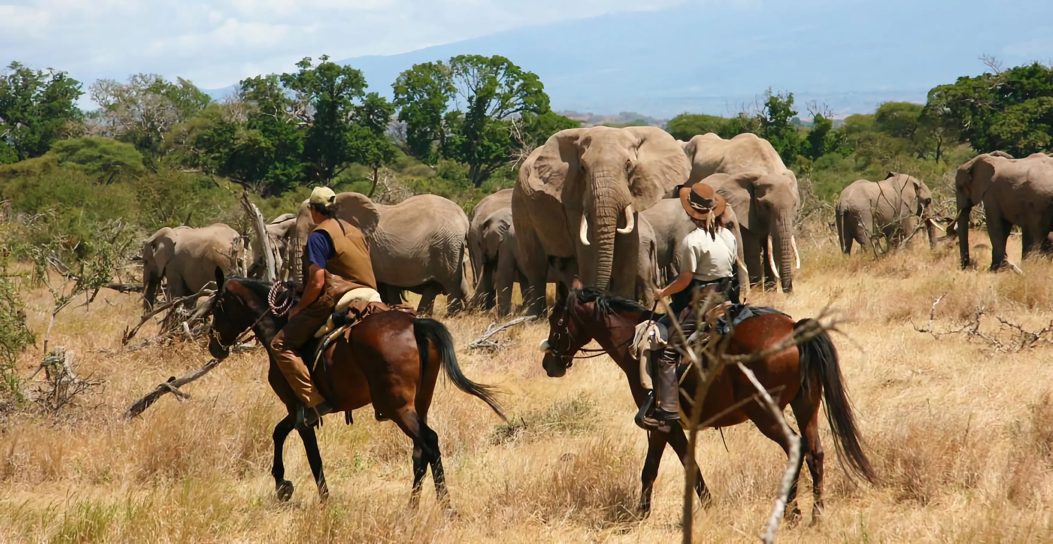 8 Days Craters, Coffee Farms & Amazing Mkomazi