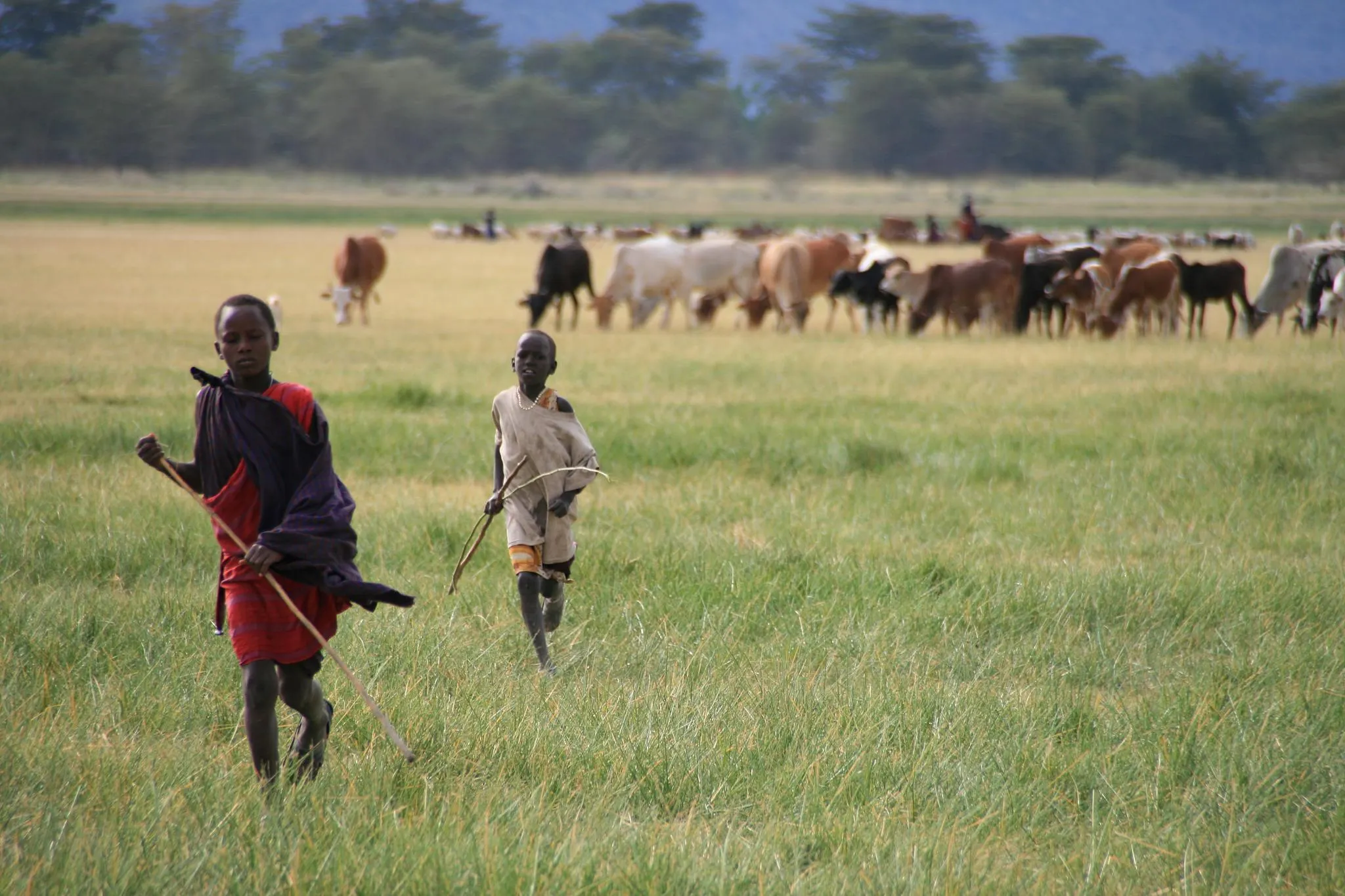 Manyara kids shepards