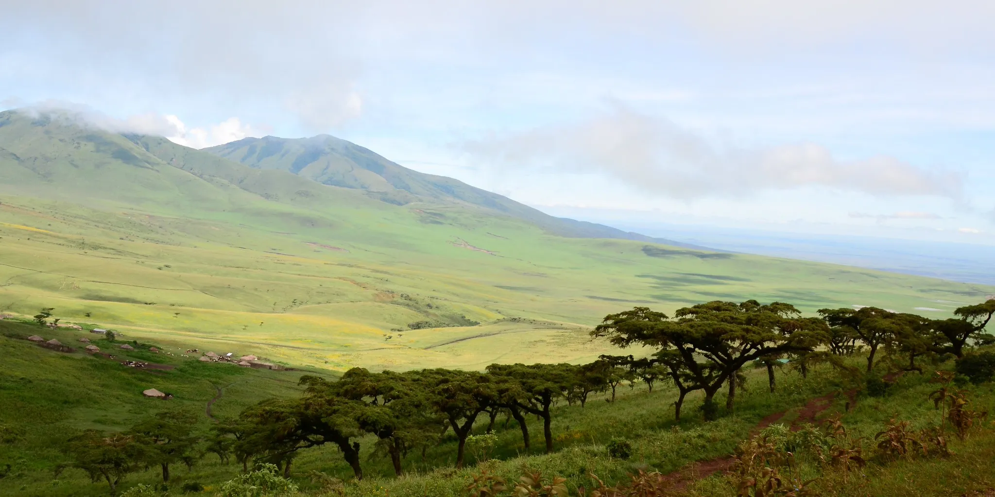 Ngorongoro Crater