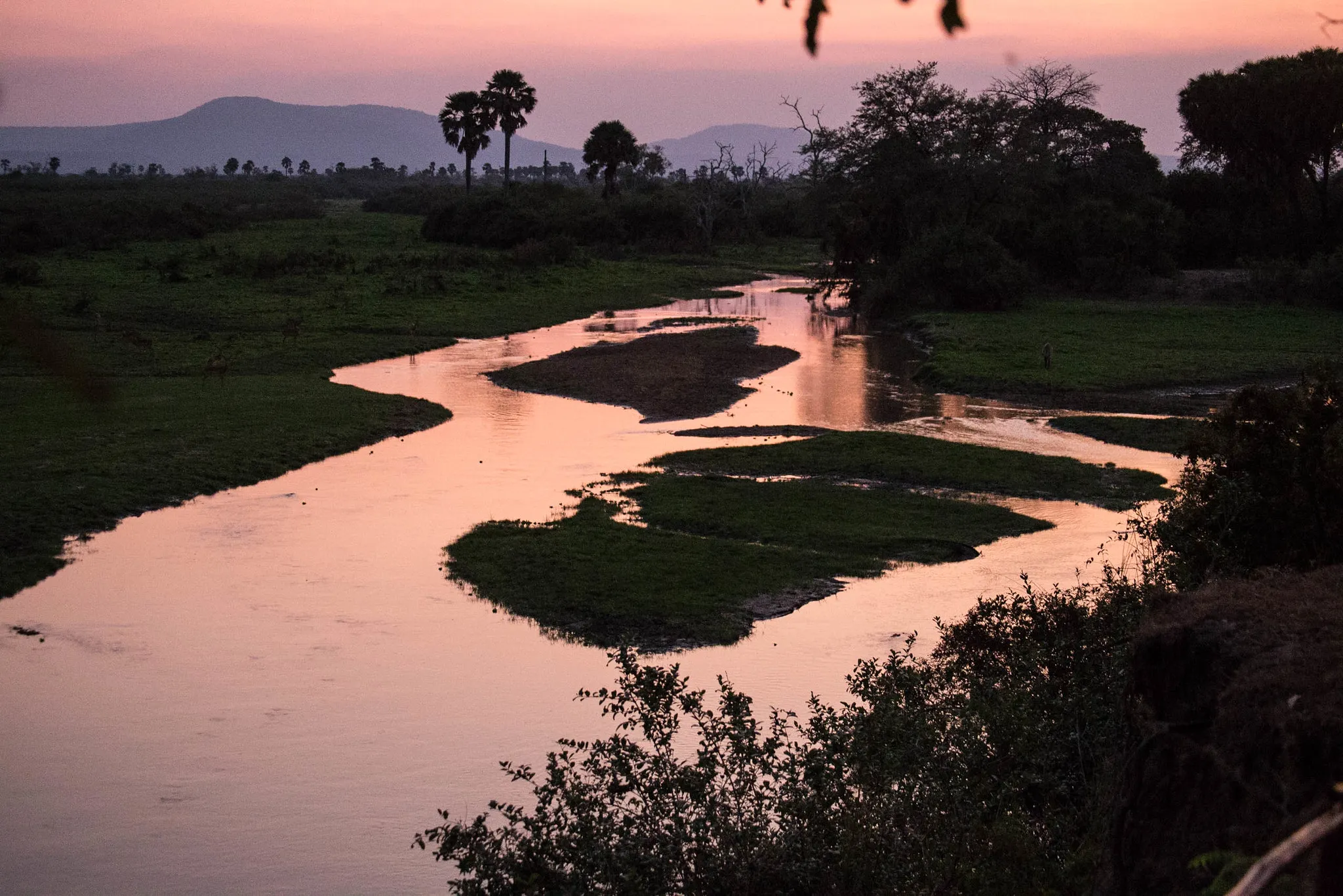 The Rufiji River in Nyerere National Park
