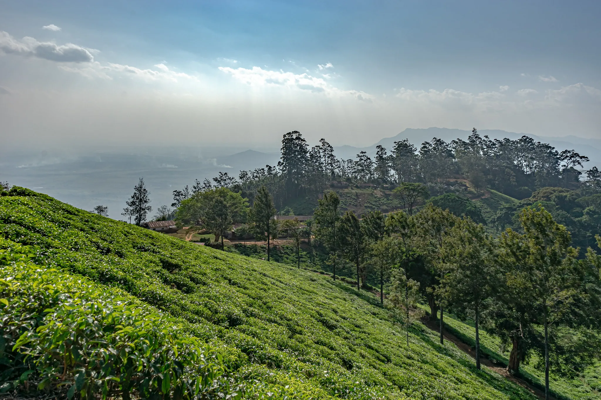The Usambara Mountains
