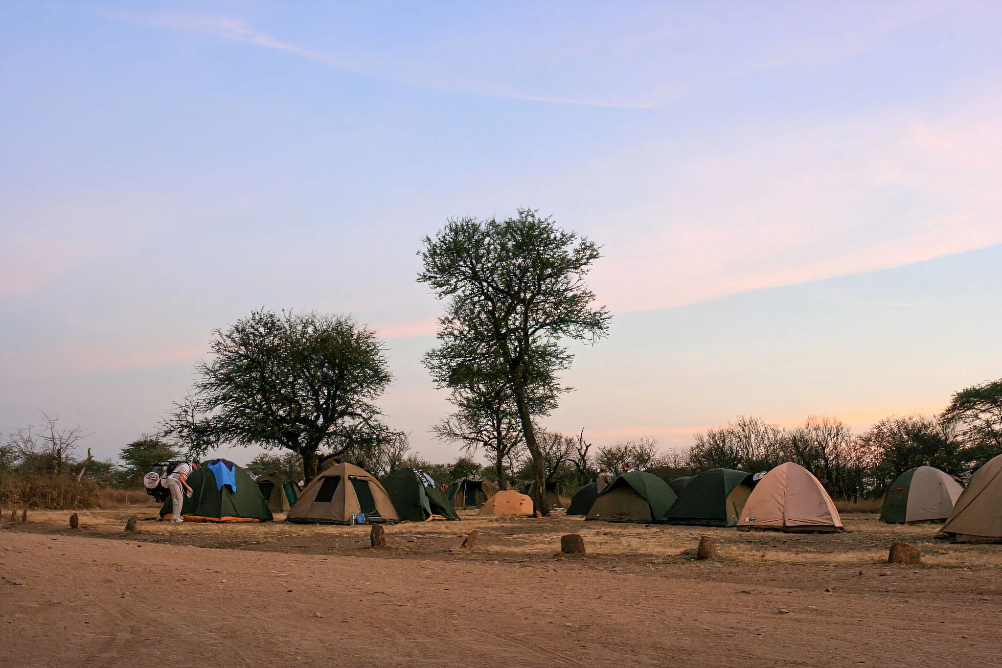 Safari image 1