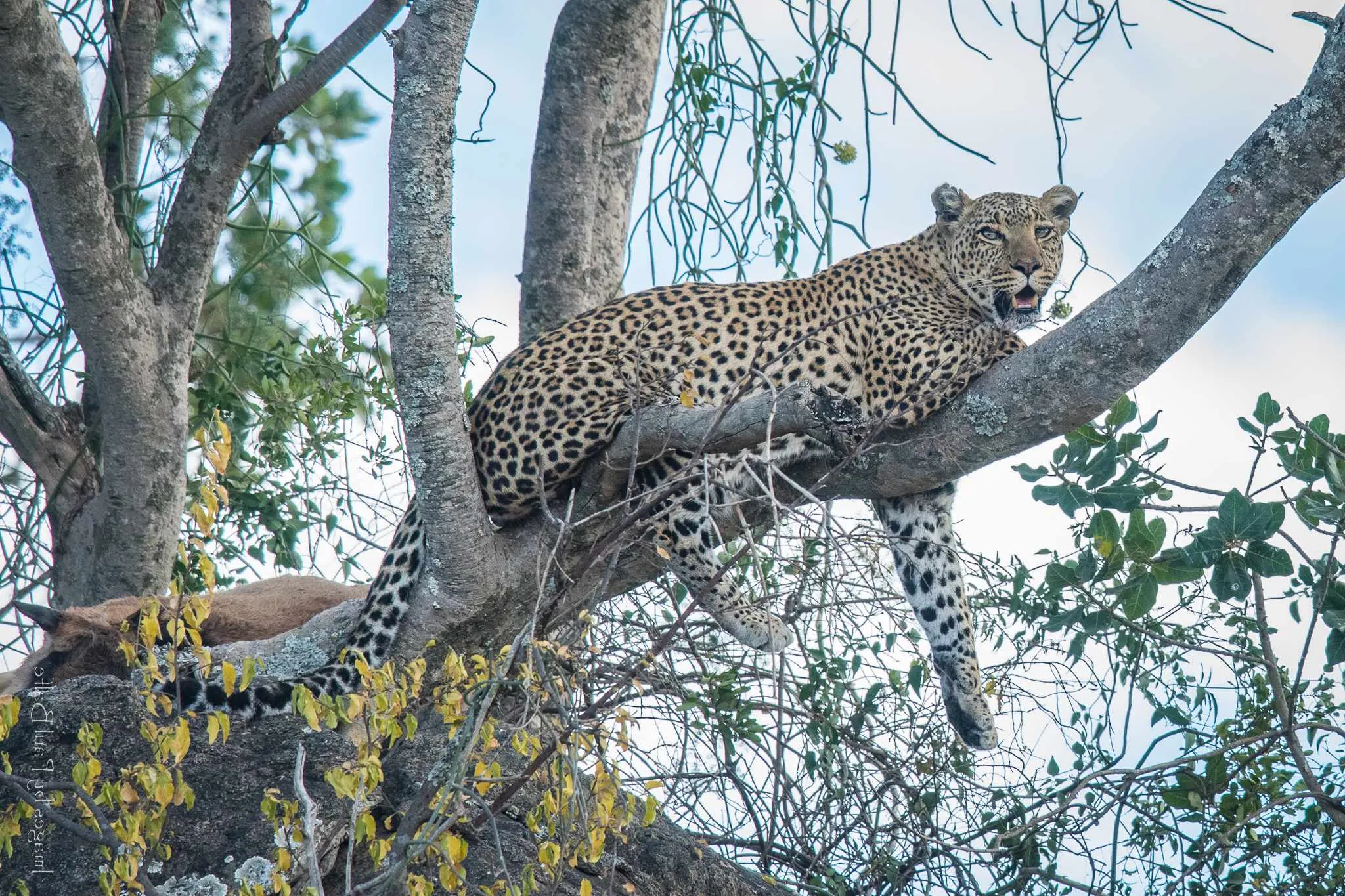 10 Days Tanzania: The Northern Circuit - Midrange